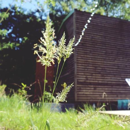 فندق Tiny House Nouvelle Annonce Boho Ocean Naujac-sur-Mer المظهر الخارجي الصورة